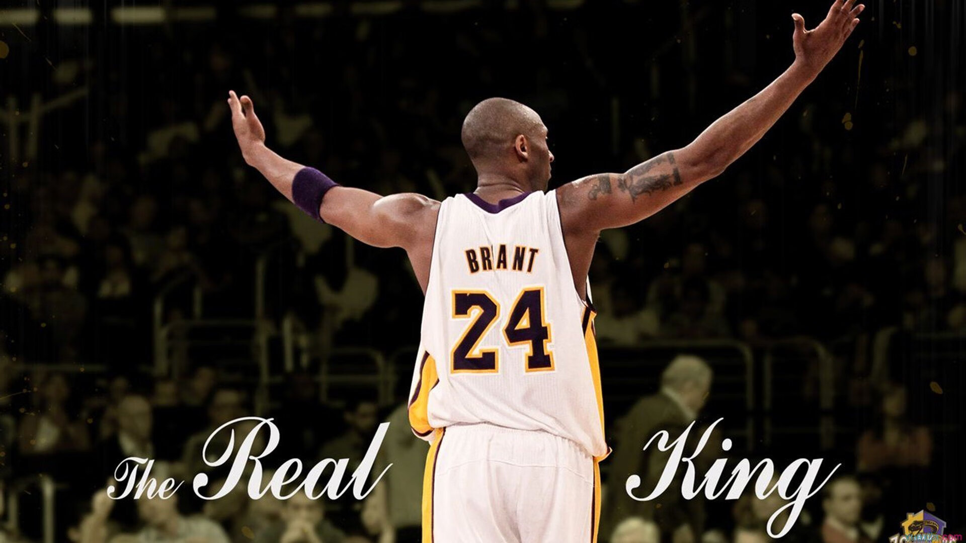 文班亚马，总决赛之夜的唯一性证明